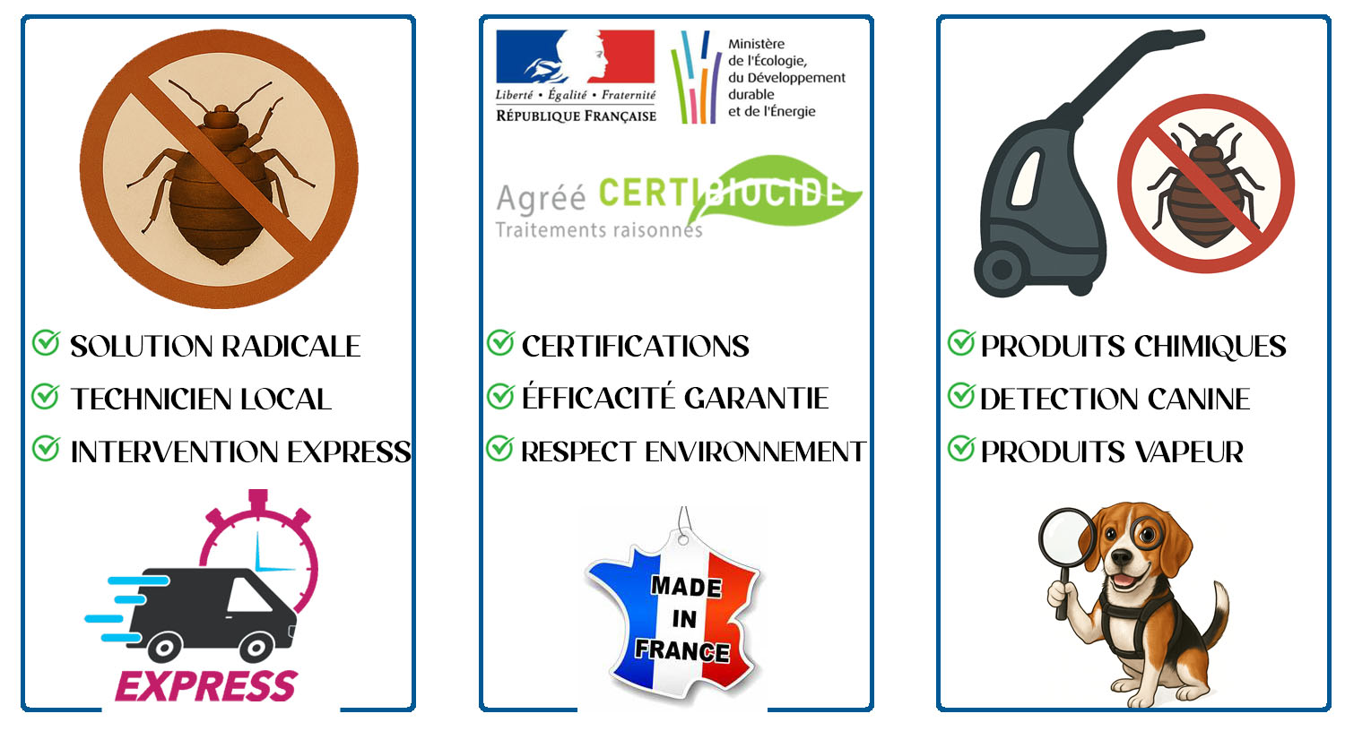 Punaises de Lit Vaucresson