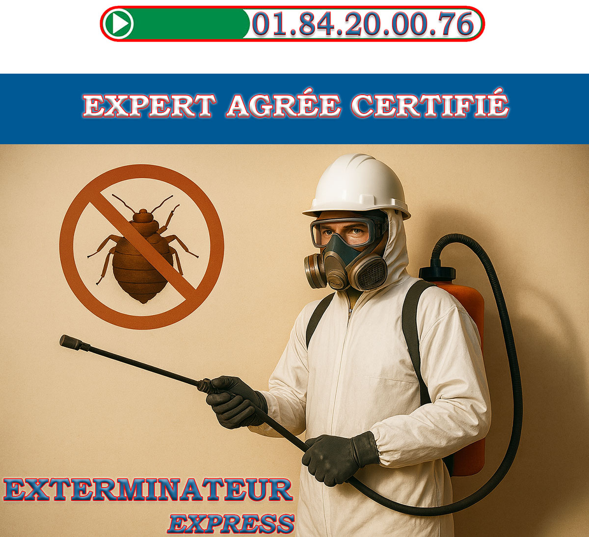 Punaises de Lit Vaucresson